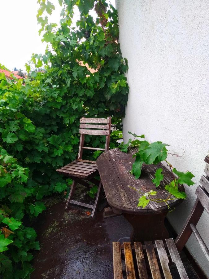 Apartment Telc Hradecka Exterior photo